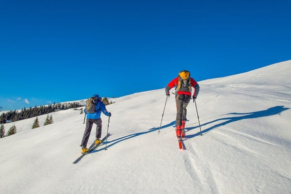 Quels sont les plus beaux itinéraires de randonnée pédestre dans les Alpes bavaroises ?